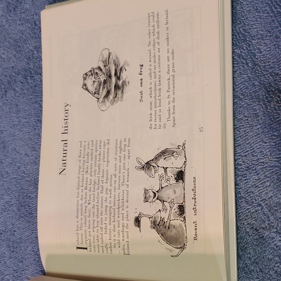 Ireland for beginners - Picture 3 of 4